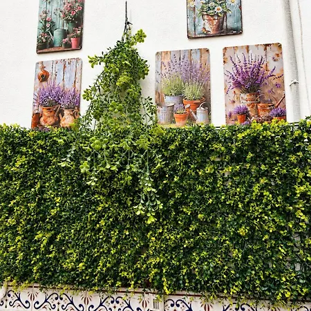 Patio Secreto De *